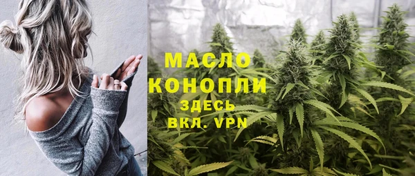 mix Богородицк