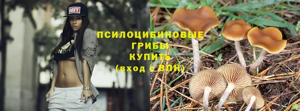 синтетический гашиш Бронницы