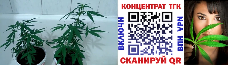 ТГК гашишное масло  где найти наркотики  Дюртюли 