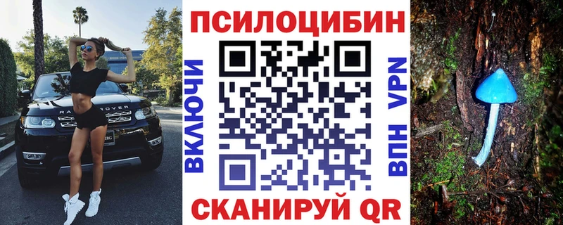 Псилоцибиновые грибы GOLDEN TEACHER  Дюртюли 
